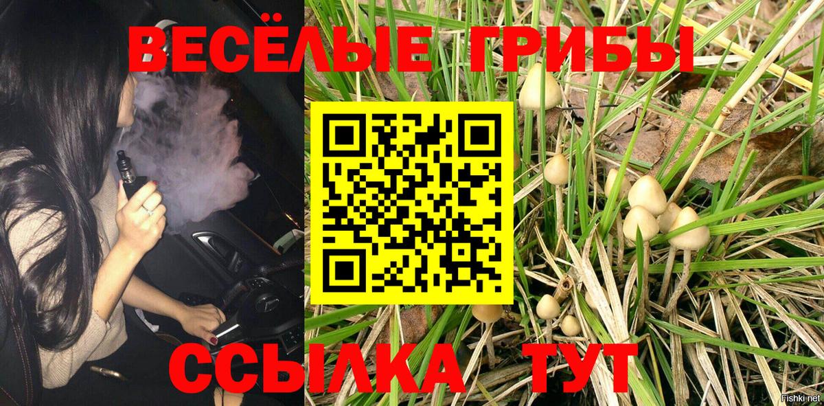 Семилуки  Псилоцибиновые грибы Cubensis  Псилоцибиновые грибы мухоморы  Вход с VPN 